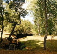 Oldina Picnic Area - Accommodation Coffs Harbour