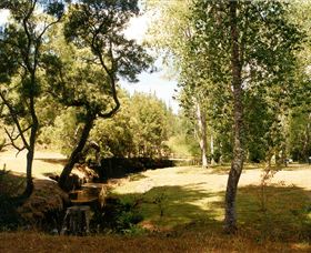 Oldina Picnic Area - Accommodation Coffs Harbour 0