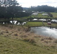 Guide Falls Farm - Accommodation Coffs Harbour