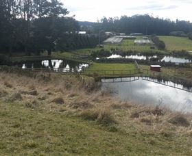 Guide Falls Farm - Accommodation Coffs Harbour 0