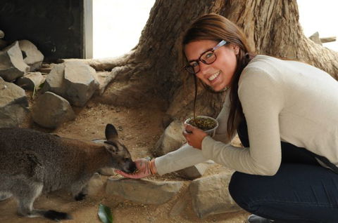 Autopia Tours - Accommodation Coffs Harbour 6