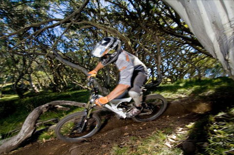 All Terrain Cycles - Accommodation Coffs Harbour 0