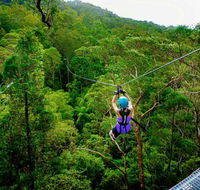 Canyon Flyer - Accommodation Coffs Harbour