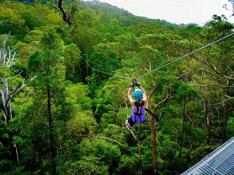 Canyon Flyer - Accommodation Coffs Harbour 1