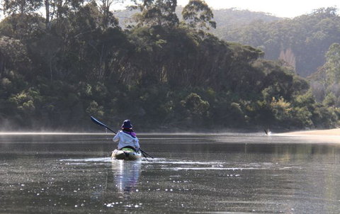 Kiah Wilderness Tours - Accommodation Coffs Harbour 1