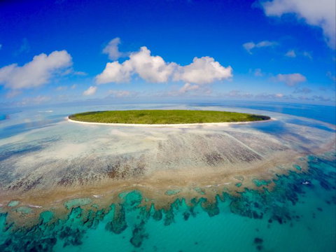 Curtis Ferry Services - Accommodation Coffs Harbour 2