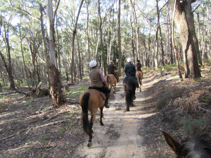 Spring Hill VIC Accommodation Coffs Harbour