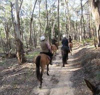 Silver Brumby Trails - Accommodation Coffs Harbour