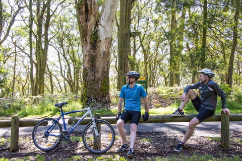 Fit Tours - Accommodation Coffs Harbour 8