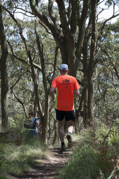 Fit Tours - Accommodation Coffs Harbour 11