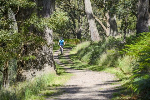 Fit Tours - Accommodation Coffs Harbour 16