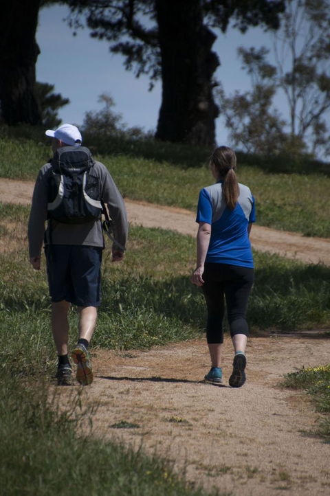 Fit Tours - Accommodation Coffs Harbour 22
