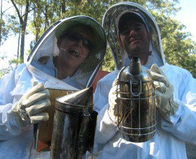 Honeycomb Valley - Accommodation Coffs Harbour 0