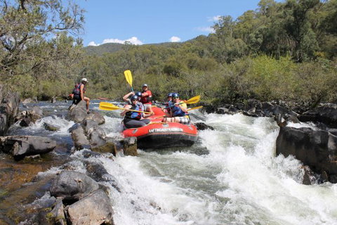 Rafting Australia - Accommodation Coffs Harbour 0