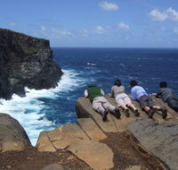 Out of Sight Tours - Accommodation Coffs Harbour