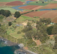 Winged House - The - Accommodation Coffs Harbour