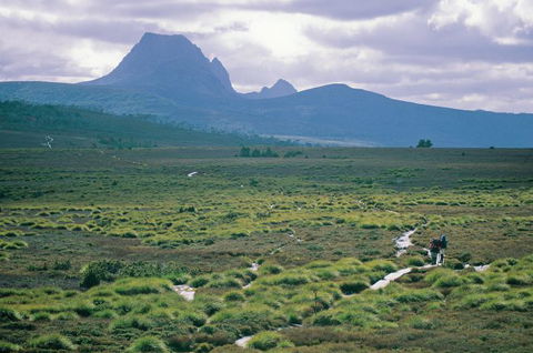 Trek Tasmania - Accommodation Coffs Harbour 7