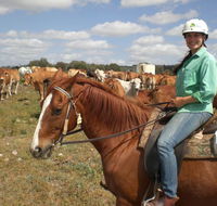 Myella Farm Stay Tours - Accommodation Coffs Harbour