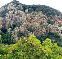 Mount Greville Track - Accommodation Coffs Harbour