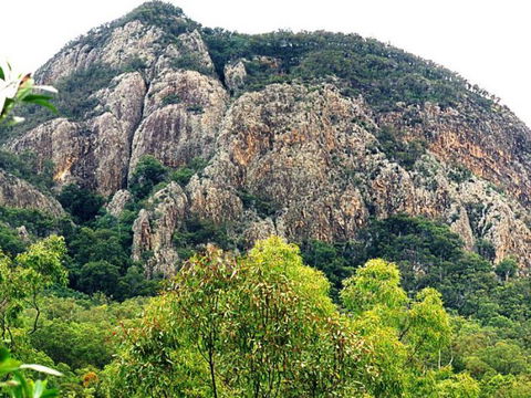 Mount Greville Track - Accommodation Coffs Harbour 0