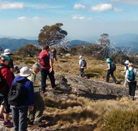 Hedonistic Hiking - Accommodation Coffs Harbour