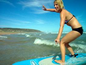 South Coast Surf Academy - Accommodation Coffs Harbour 1