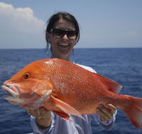 Absolute Ocean Charters - Accommodation Coffs Harbour