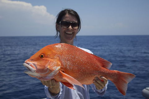 Absolute Ocean Charters - Accommodation Coffs Harbour 3