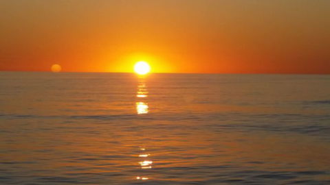Absolute Ocean Charters - Accommodation Coffs Harbour 16