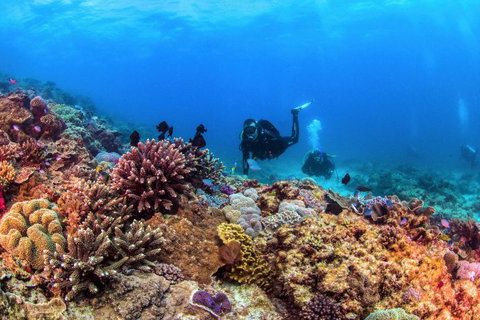 Sunreef Mooloolaba - Accommodation Coffs Harbour 6