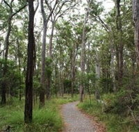 Caboolture Regional Environment Education Centre - Walking Trails - Accommodation Coffs Harbour