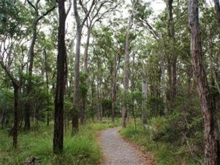 Caboolture Regional Environment Education Centre - Walking Trails - Accommodation Coffs Harbour 0