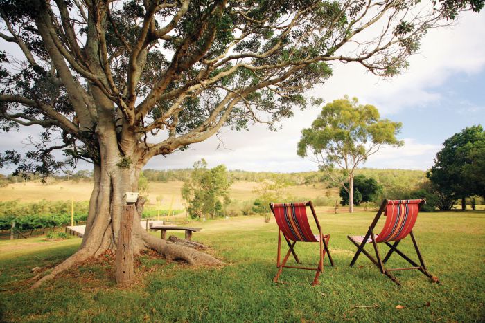 Rockville QLD Accommodation Coffs Harbour