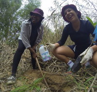 Small World Journeys - Accommodation Coffs Harbour