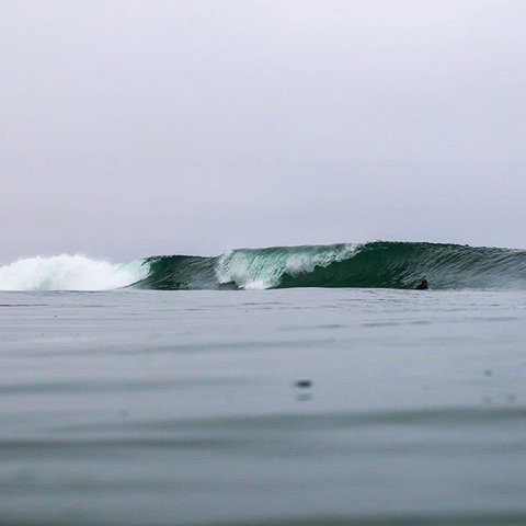 Great Ocean Road Surf Tours - Accommodation Coffs Harbour 6