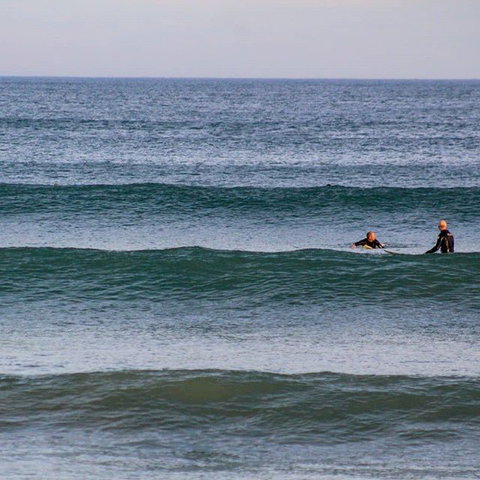 Great Ocean Road Surf Tours - Accommodation Coffs Harbour 9