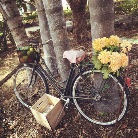 Childers Wine Trail - Accommodation Coffs Harbour 11