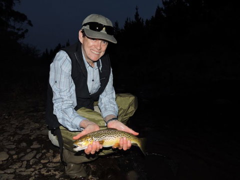 River Escapes - Accommodation Coffs Harbour 0