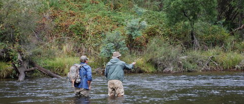 River Escapes - Accommodation Coffs Harbour 1