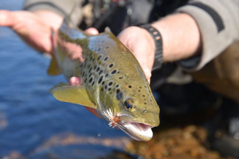 River Escapes - Accommodation Coffs Harbour 2