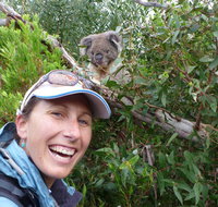 Auswalk Walking Holidays - Accommodation Coffs Harbour