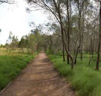 Billai dhagun Circuit Place of She-Oaks - Accommodation Coffs Harbour