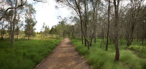 Billai Dhagun Circuit (Place Of She-Oaks) - Accommodation Coffs Harbour 0