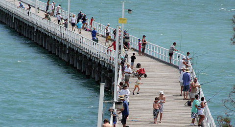 Fraser Coast Amazing Fishing Trails - Accommodation Coffs Harbour 25