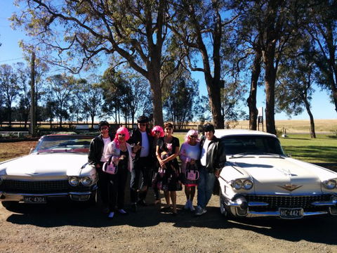 Hunter Valley Cadillacs - Accommodation Coffs Harbour 1