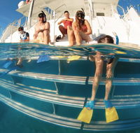 Australian Sunset Safaris - Accommodation Coffs Harbour