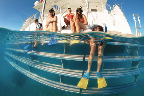 Australian Sunset Safaris - Accommodation Coffs Harbour 6