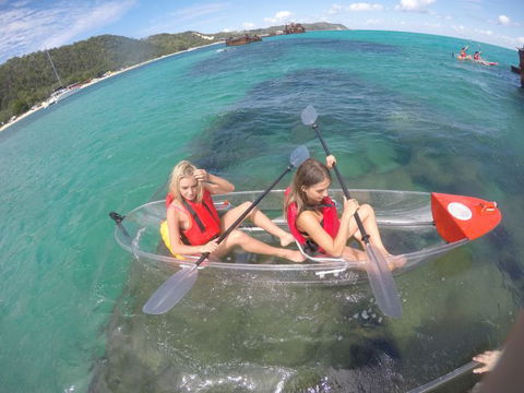 Australian Sunset Safaris - Accommodation Coffs Harbour 14