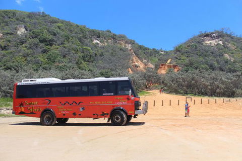 Australian Sunset Safaris - Accommodation Coffs Harbour 46