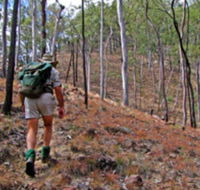 Shepherd's Peak Trail - Accommodation Coffs Harbour